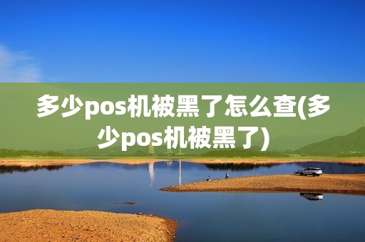 多少pos机被黑了怎么查(多少pos机被黑了)