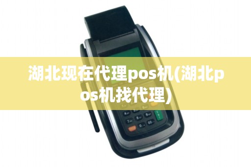 湖北现在代理pos机(湖北pos机找代理)