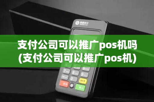 支付公司可以推广pos机吗(支付公司可以推广pos机)
