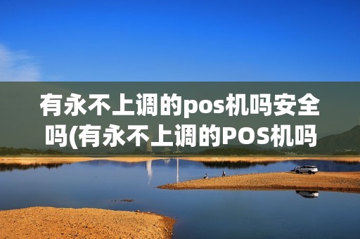 有永不上调的pos机吗安全吗(有永不上调的POS机吗)