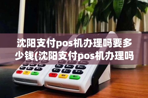 沈阳支付pos机办理吗要多少钱(沈阳支付pos机办理吗)