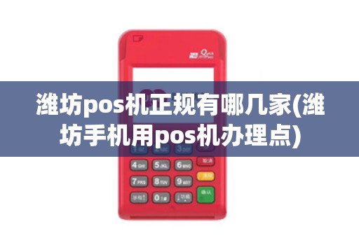 潍坊pos机正规有哪几家(潍坊手机用pos机办理点)