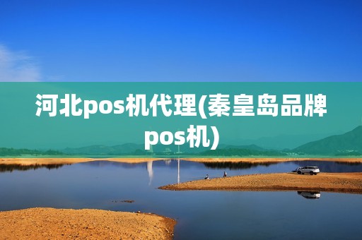 河北pos机代理(秦皇岛品牌pos机)