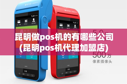 昆明做pos机的有哪些公司(昆明pos机代理加盟店)