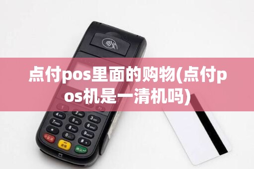 点付pos里面的购物(点付pos机是一清机吗)