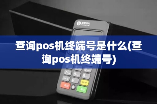 查询pos机终端号是什么(查询pos机终端号)