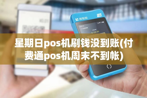 星期日pos机刷钱没到账(付费通pos机周末不到帐)