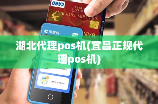 湖北代理pos机(宜昌正规代理pos机)