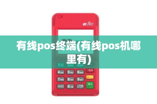 有线pos终端(有线pos机哪里有)