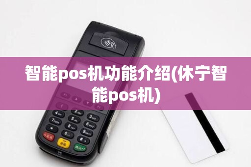 智能pos机功能介绍(休宁智能pos机)