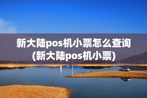 新大陆pos机小票怎么查询(新大陆pos机小票)