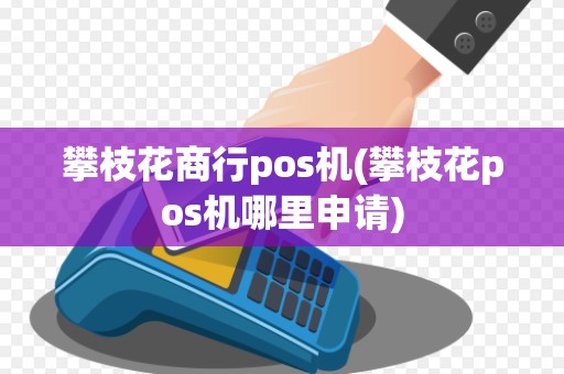 攀枝花商行pos机(攀枝花pos机哪里申请)