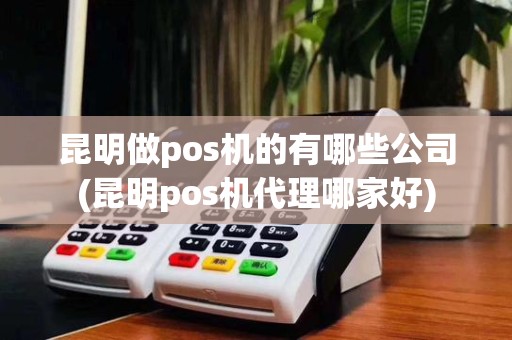 昆明做pos机的有哪些公司(昆明pos机代理哪家好)