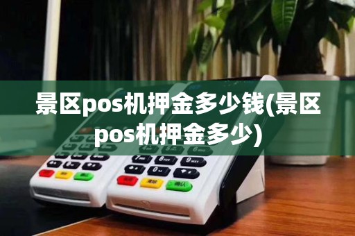 景区pos机押金多少钱(景区pos机押金多少)