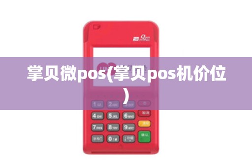 掌贝微pos(掌贝pos机价位)