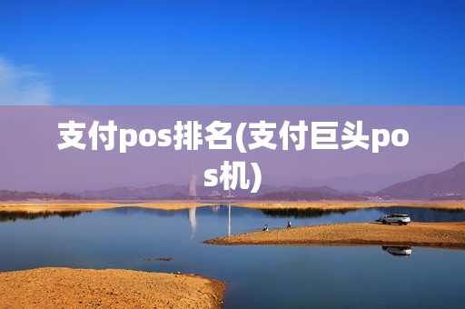 支付pos排名(支付巨头pos机)