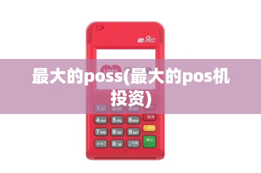 最大的poss(最大的pos机投资)