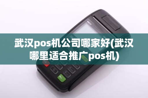 武汉pos机公司哪家好(武汉哪里适合推广pos机)