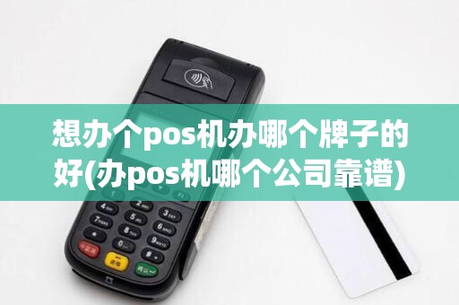 想办个pos机办哪个牌子的好(办pos机哪个公司靠谱)