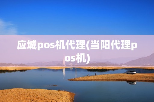 应城pos机代理(当阳代理pos机)