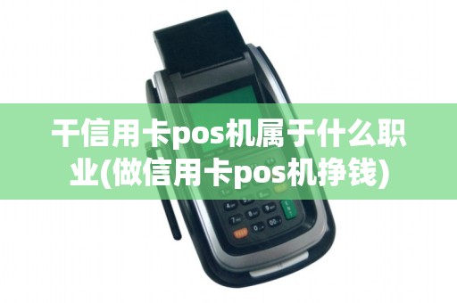 干信用卡pos机属于什么职业(做信用卡pos机挣钱)