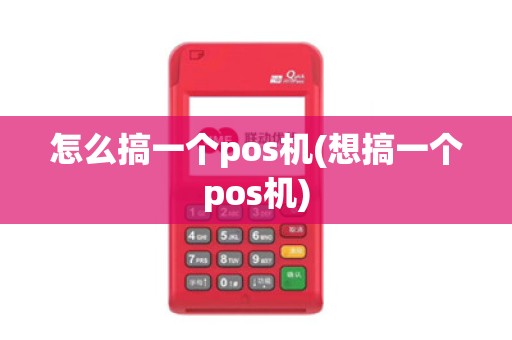 怎么搞一个pos机(想搞一个pos机)