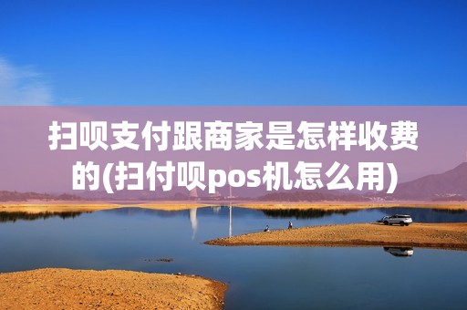 扫呗支付跟商家是怎样收费的(扫付呗pos机怎么用)