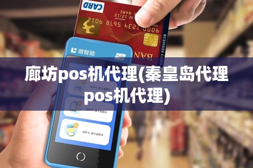 廊坊pos机代理(秦皇岛代理pos机代理)