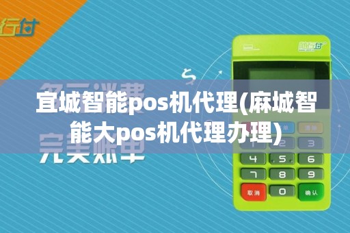 宜城智能pos机代理(麻城智能大pos机代理办理)