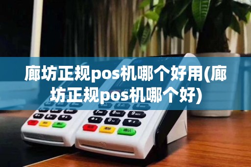 廊坊正规pos机哪个好用(廊坊正规pos机哪个好)