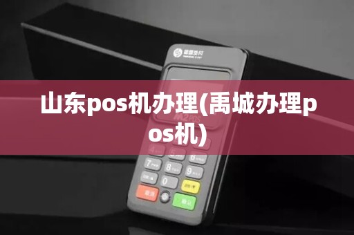 山东pos机办理(禹城办理pos机)