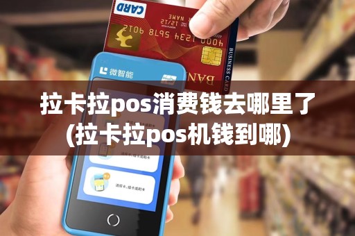 拉卡拉pos消费钱去哪里了(拉卡拉pos机钱到哪)