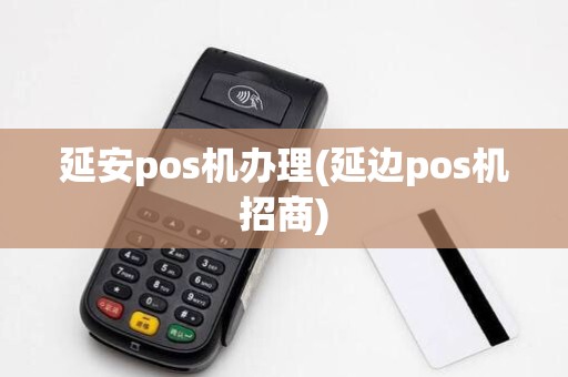 延安pos机办理(延边pos机招商)