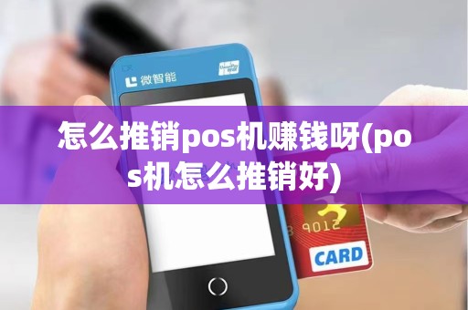 怎么推销pos机赚钱呀(pos机怎么推销好)