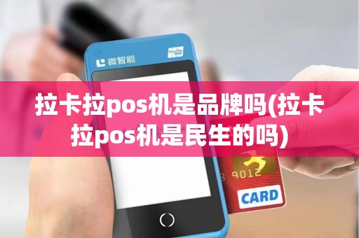 拉卡拉pos机是品牌吗(拉卡拉pos机是民生的吗)