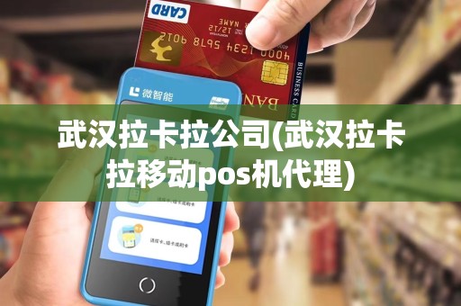 武汉拉卡拉公司(武汉拉卡拉移动pos机代理)