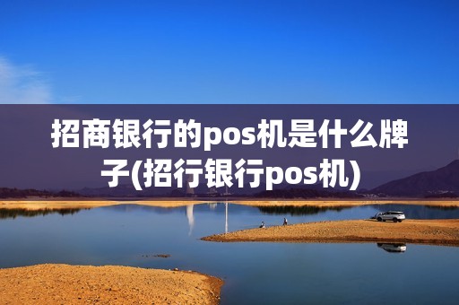 招商银行的pos机是什么牌子(招行银行pos机)