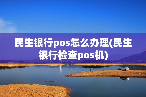 民生银行pos怎么办理(民生银行检查pos机)