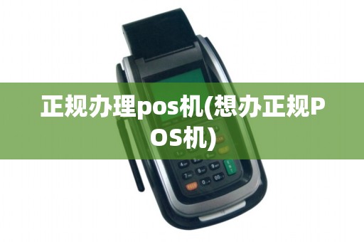 正规办理pos机(想办正规POS机)