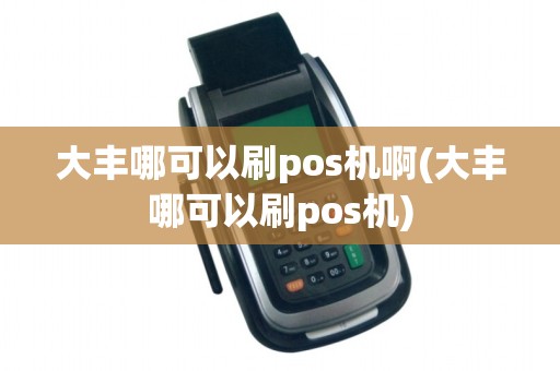 大丰哪可以刷pos机啊(大丰哪可以刷pos机)