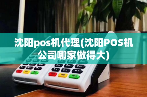沈阳pos机代理(沈阳POS机公司哪家做得大)