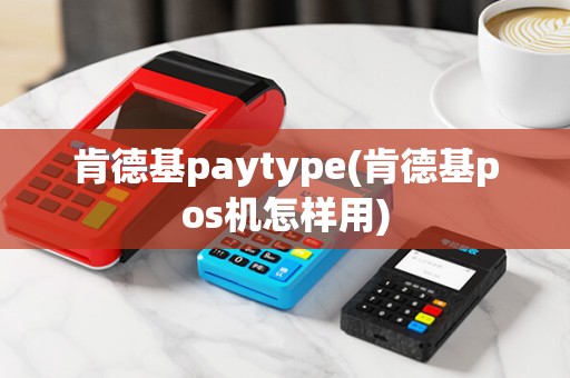 肯德基paytype(肯德基pos机怎样用)