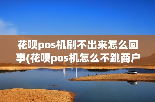 花呗pos机刷不出来怎么回事(花呗pos机怎么不跳商户)