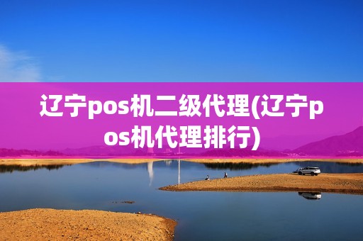 辽宁pos机二级代理(辽宁pos机代理排行)