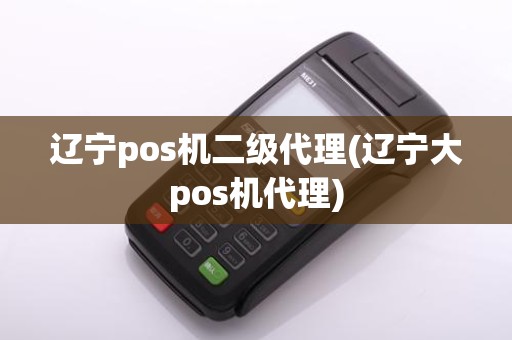 辽宁pos机二级代理(辽宁大pos机代理)