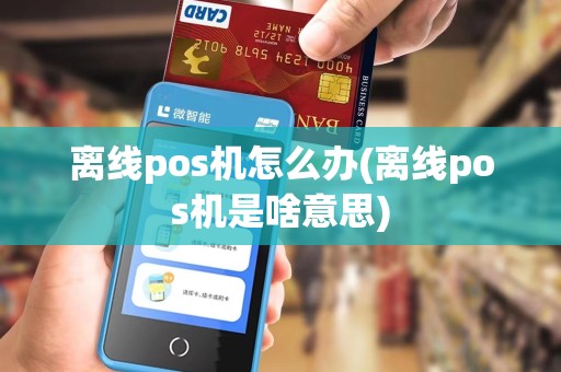 离线pos机怎么办(离线pos机是啥意思)
