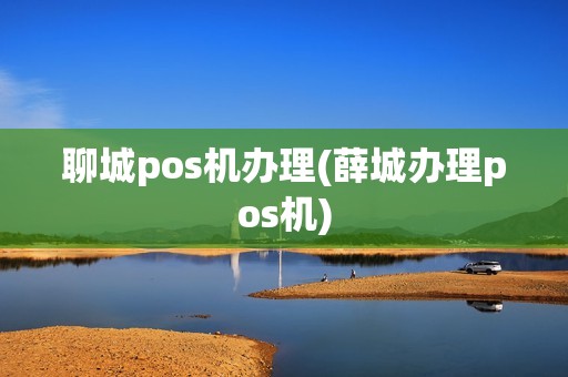 聊城pos机办理(薛城办理pos机) 聊城pos机办理(薛城办理pos机)