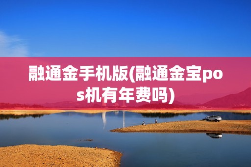 融通金手机版(融通金宝pos机有年费吗)