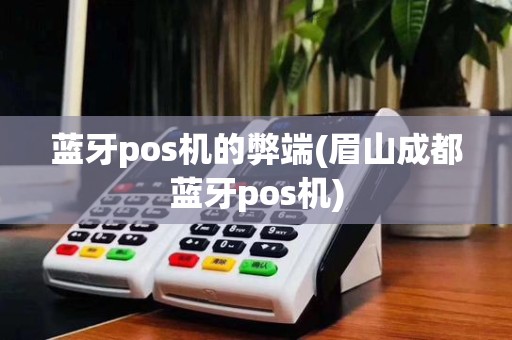 蓝牙pos机的弊端(眉山成都蓝牙pos机)