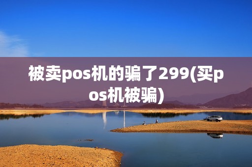 被卖pos机的骗了299(买pos机被骗)